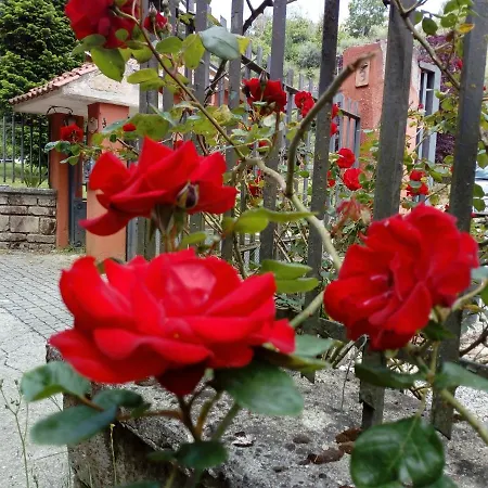 Apartamento La Tana Nel Bosco Durazzano